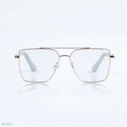 EG-031 - Modern Double Bridge Gold Frame Geometric Eyeglasses