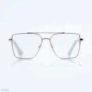 EG-035 - Modern Double Bridge Gold Frame Geometric Eyeglasses