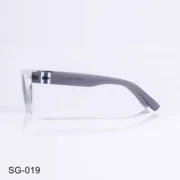 SG-019 - Classic Transparent Frame White Wayfarer Sunglasses